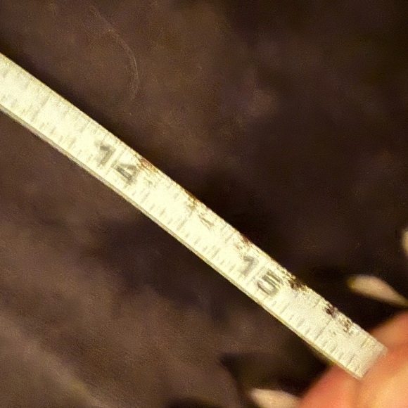 Women’s poison Edgy Black Crop Top with Skull and Snake Design - Picture 5 of 6